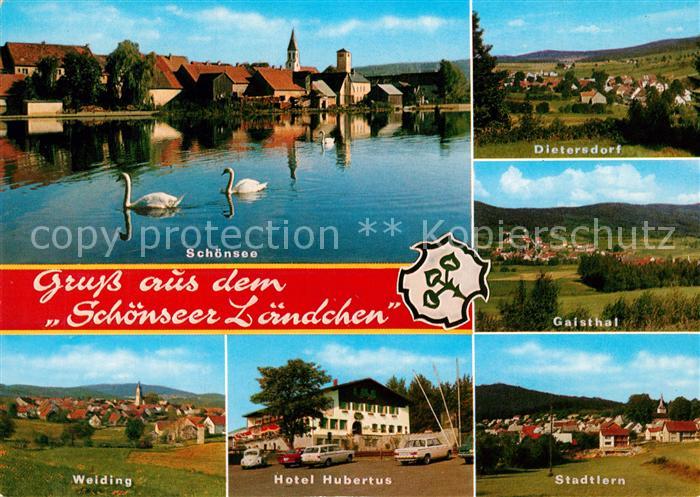 Schoensee und Umgebung Schoenseer Laendchen Schwanensee Hotel Hubertus