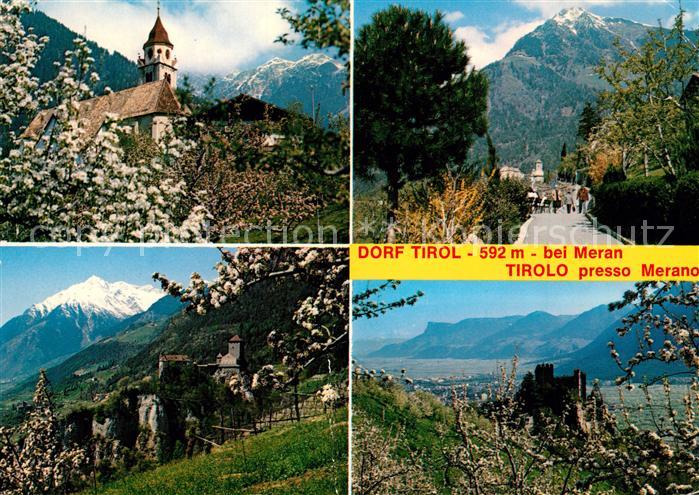 Dorf Tirol Schloss Tirol Brunnenburg Wanderweg Baumbluete Alpenpanorama