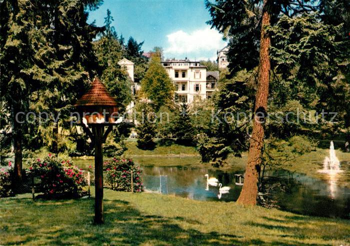 Bad Schwalbach Partie im Kurgarten Schwanenteich