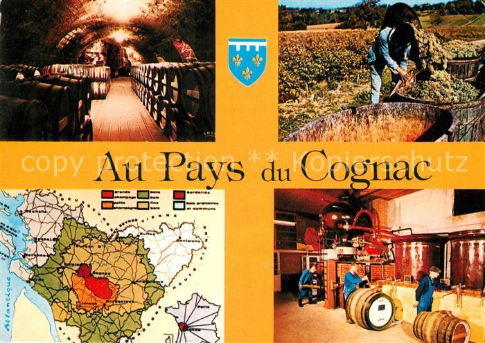 Alkohol Cognac Chais Vendanges Distillerie