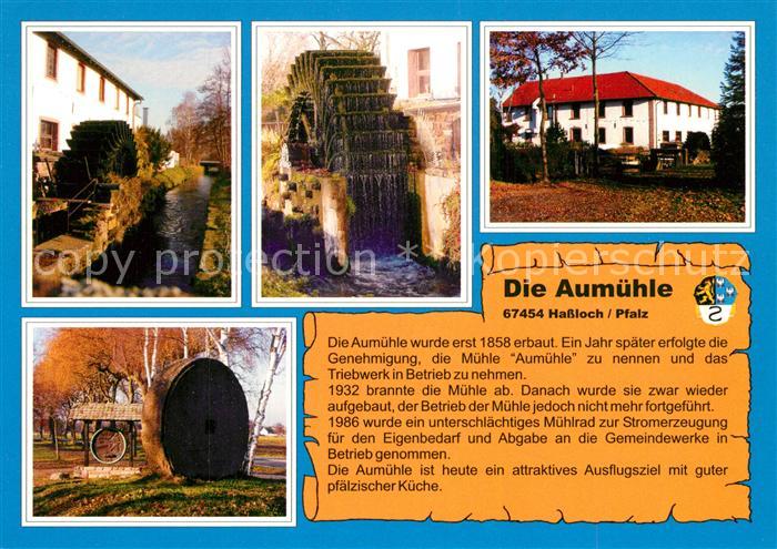 Hassloch Pfalz Die Aumuehle Details