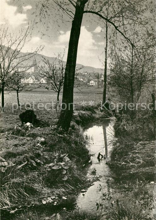 Zierenberg Im Warmetal