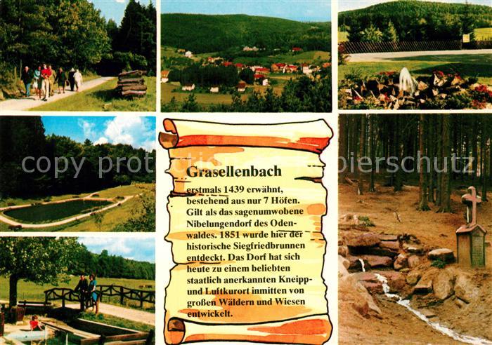 Gras-Ellenbach Panorama Teilansichten Siegfriedbrunnen