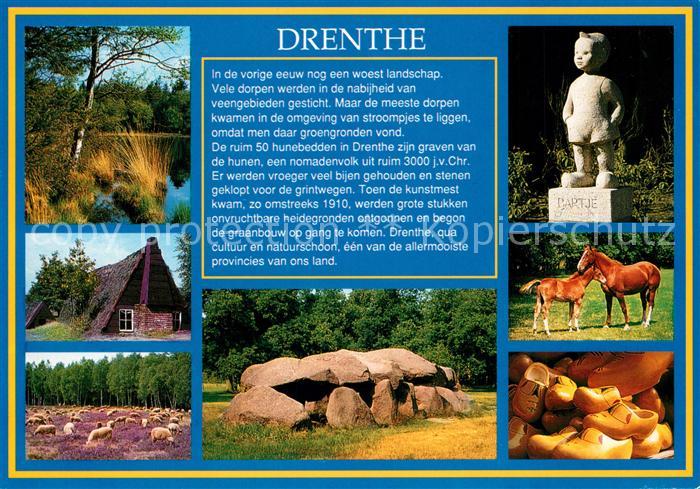 Drenthe Landschaft Altes Haus Schafherde Partje Stute mit Fohlen Holzschuhe Stei
