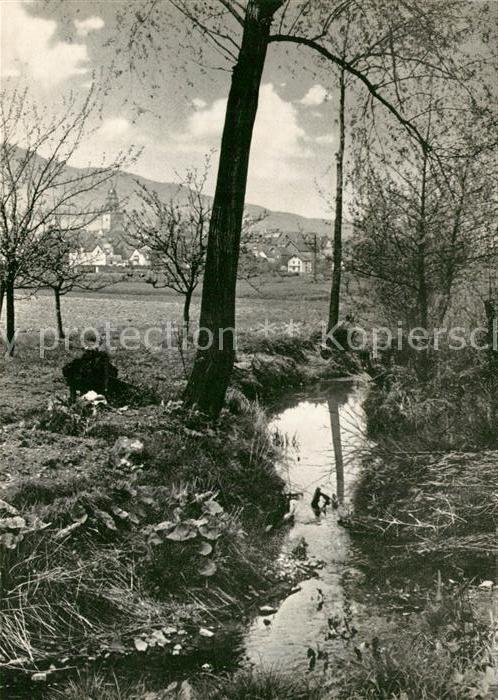 Zierenberg Partie im Warmetal
