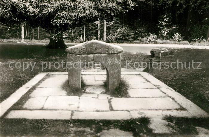 Friedewald Hessen Nadeloehr