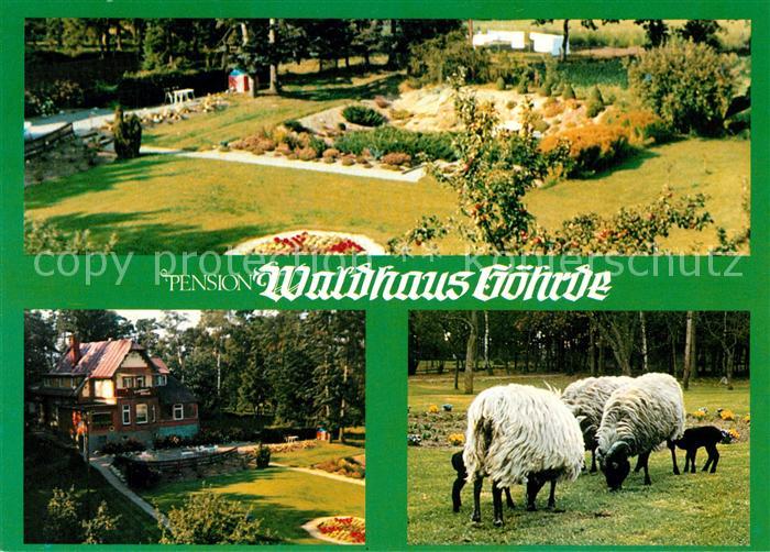 Nieperfitz Pension Waldhaus Goehrde