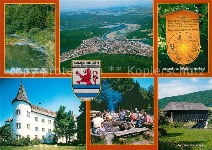 Immendingen Fliegeraufnahme Donauverisnkung Oberes Schloss Archenbruecke