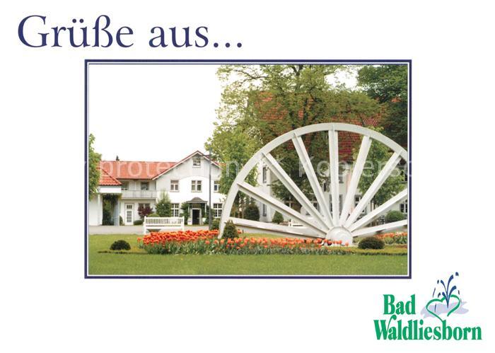 Bad Waldliesborn Seilscheibe Kurpark