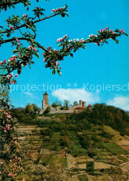 Heppenheim Bergstrasse Starkenburg im Fruehling Baumbluete