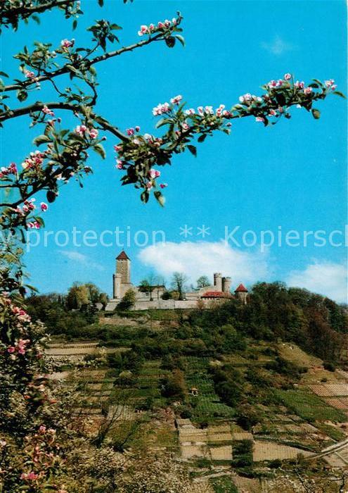 Heppenheim Bergstrasse Starkenburg im Fruehling Baumbluete