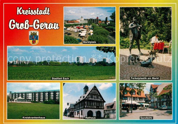 Gross-Gerau Marktplatz Ferkelplastik Sandboehl Rathaus Fachwerk Krankenhaus Stad