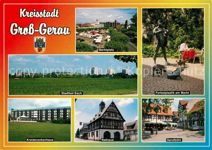Gross-Gerau Marktplatz Ferkelplastik Sandboehl Rathaus Fachwerk Krankenhaus Stad