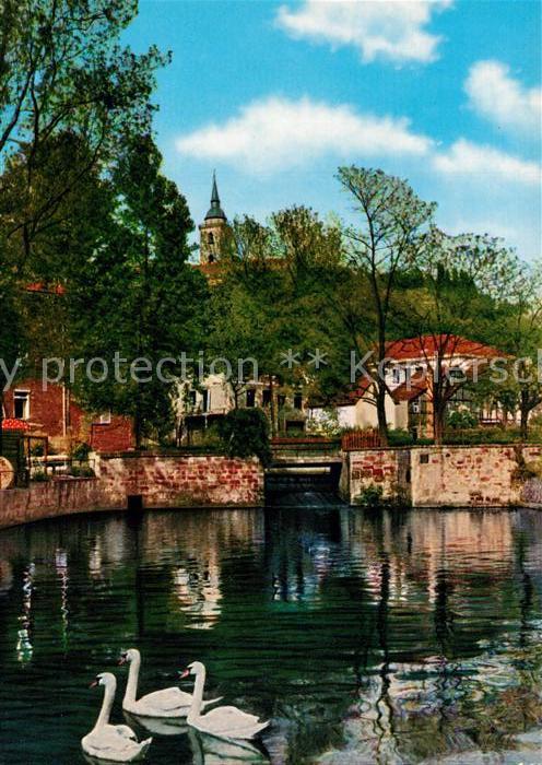 Siegburg Schwanenteich