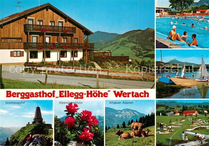 Oberellegg Wertach Berggasthof Ellegg Hoehe Gruentengipfel Alpenrosenbluete Allg