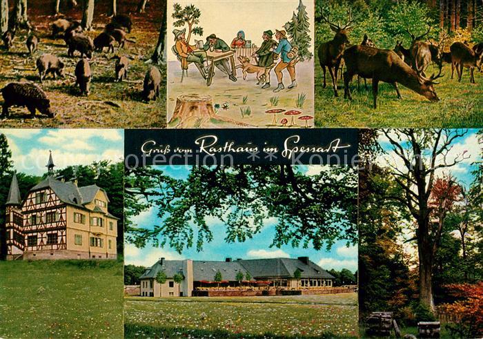 Rohrbrunn Autobahn Rasthaus im Spessart Motel Wildschweine Hirsche