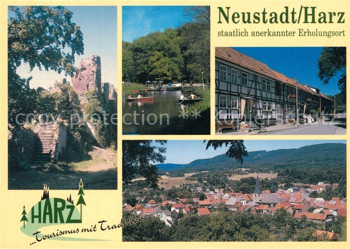 Neustadt Harz Panorama Burgruine Fachwerkhaeuser Gondelteich