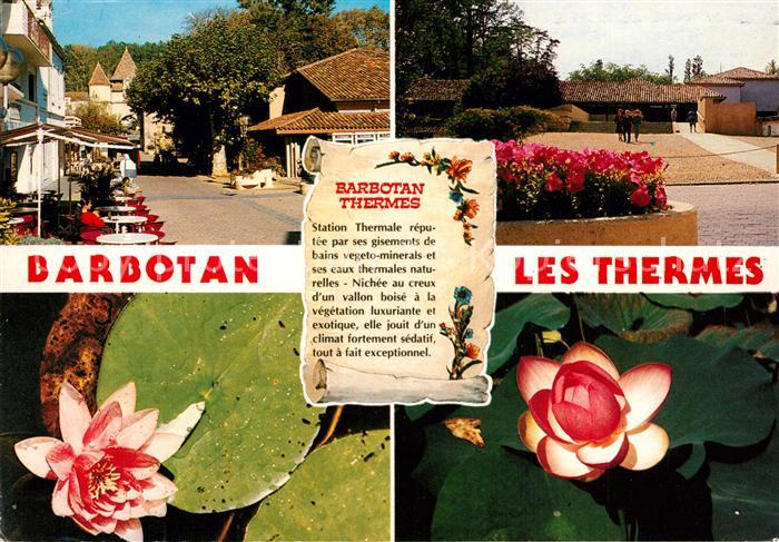 Barbotan les Thermes Parkanlagen Seerosen