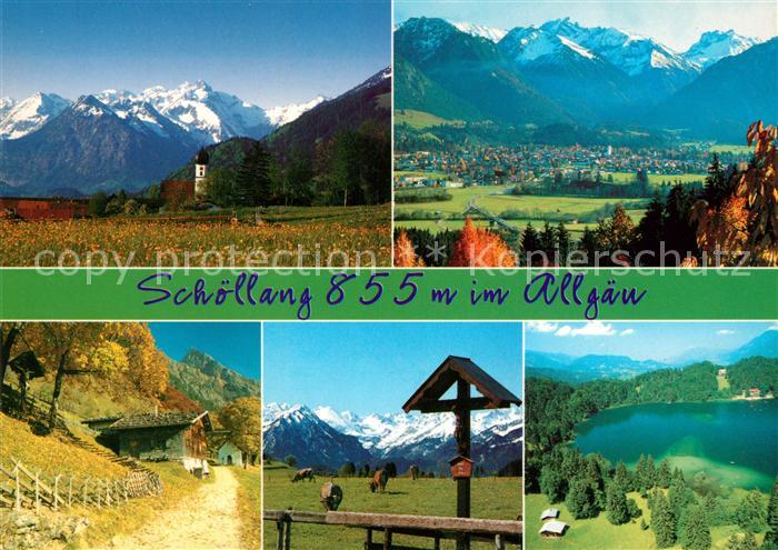 Schoellang Seepartie Fliegeraufnahme Kuehe