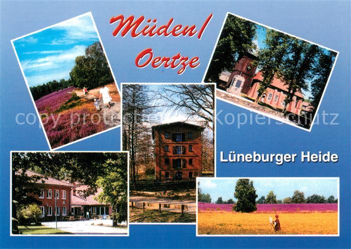 Mueden oertze Lueneburger-Heide