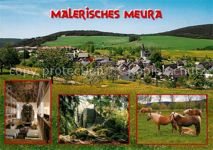 Meura Meurasteine Pferde Haflinger