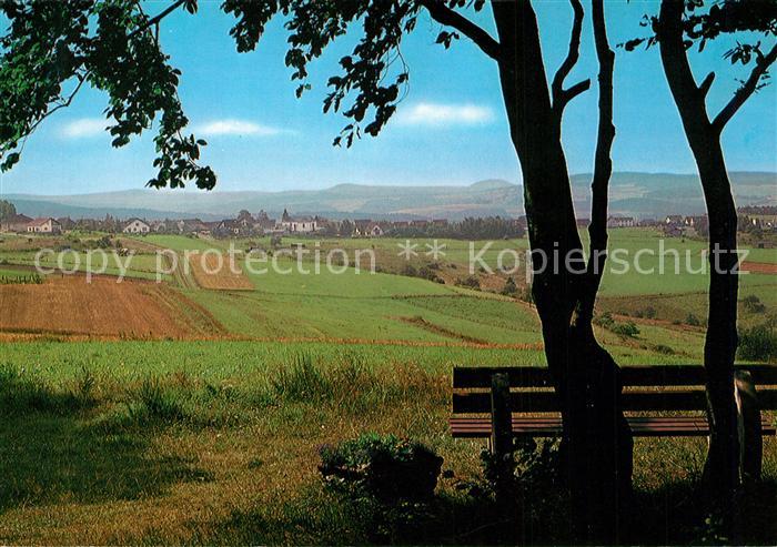 Barweiler Ahrweiler Panorama