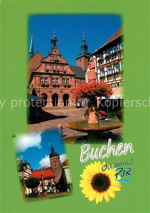 Buchen Baden Rathaus Brunnen