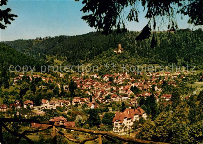 Bad Liebenzell Panorama Burg