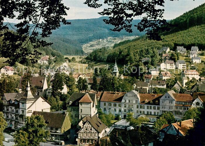 Bad Herrenalb Panorama