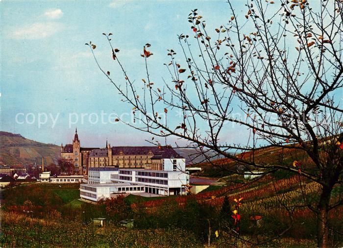 Ahrweiler Ahr Kloster Kalvarienberg
