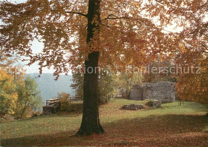 Ditzenbach Bad Ruine Hiltenburg
