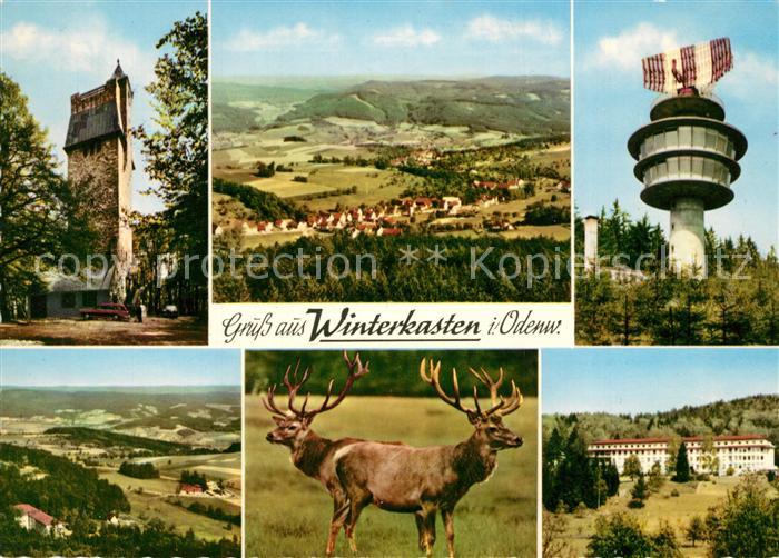 Winterkasten Lindenfels Aussichtsturm Panorama Sendeturm Hirsche