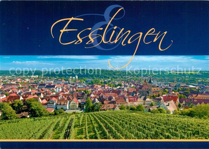 Esslingen Neckar Panorama von Esslinger Burg
