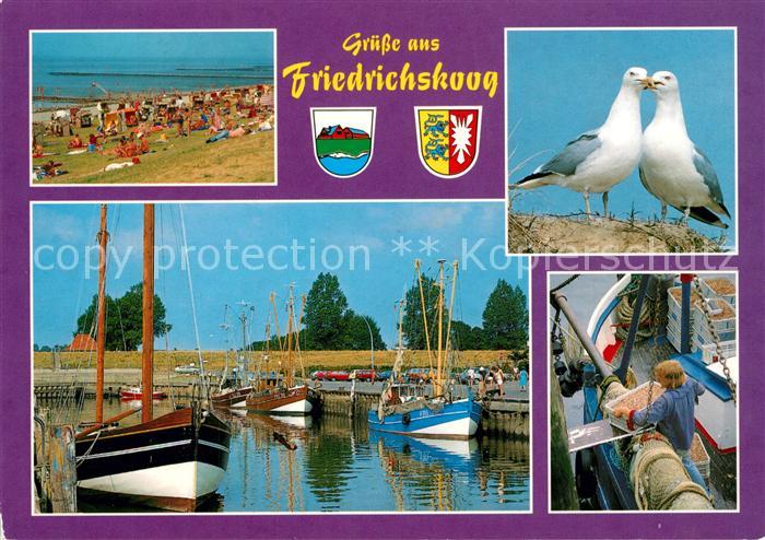 Friedrichskoog Nordseebad Hafen Strand Moewen