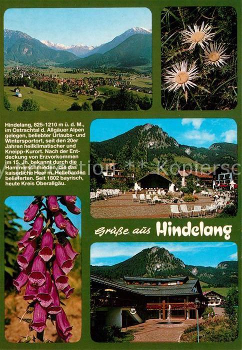 Hindelang Panorama Fingerhut Silberdistel