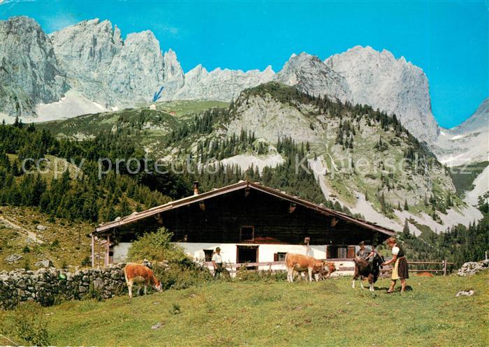 Ellmau Tirol Wochenbrunneralm mit Ellmauer Halt Kaisergebirge