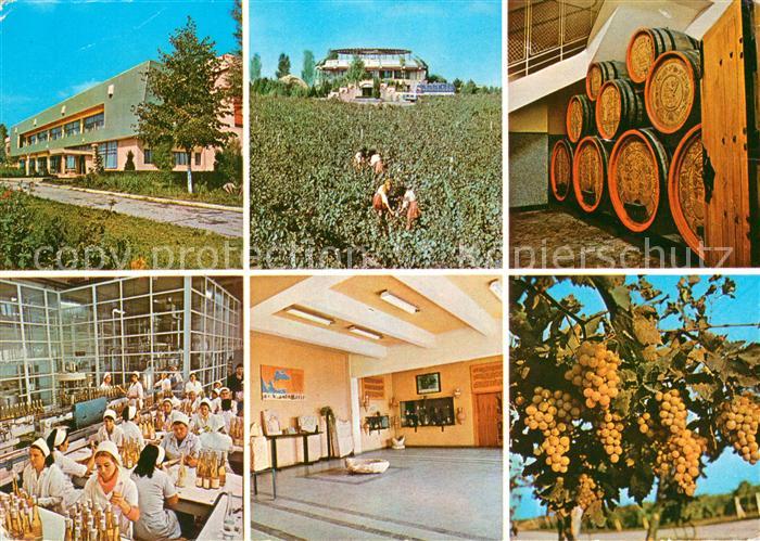 Murfatlar Des vues de la station experimentale viticole