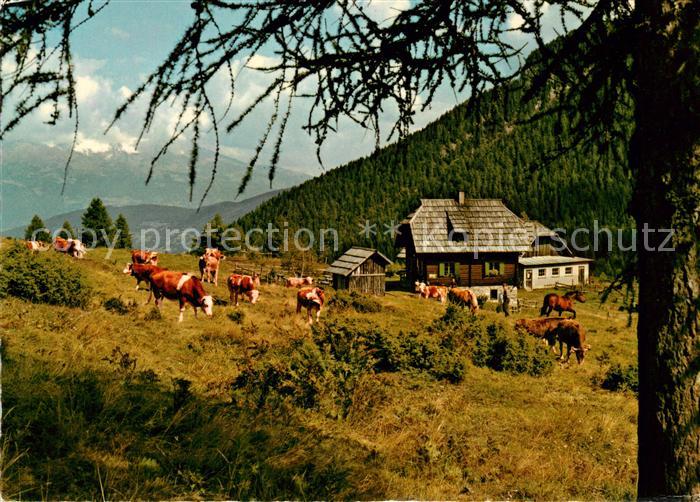 Weissensee Kaernten Alm hinter'm Brunn Kuehe