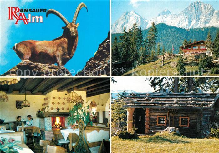 Ramsau Berchtesgaden Restaurant Ramsauer-Alm Steinbock
