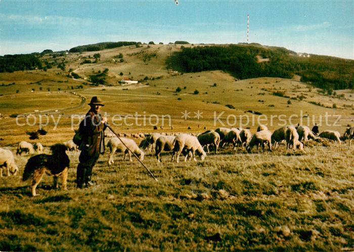 Kreuzberg Rhoen Rhoenschaefer