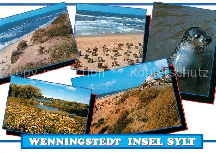 Wenningstedt Sylt Strand Seeloewe