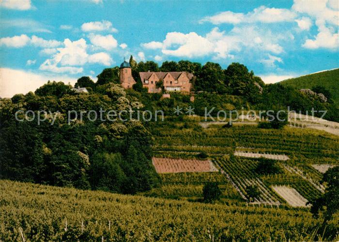 St Martin Rheinpfalz Kropsburg