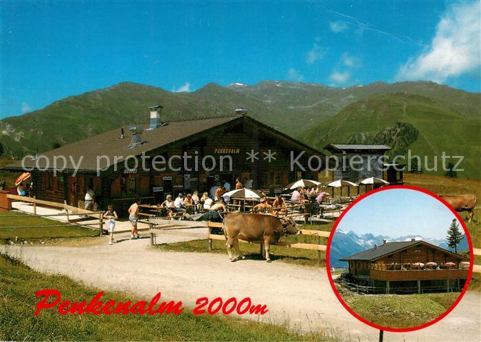 Mayrhofen Zillertal Penkenalm Kuehe