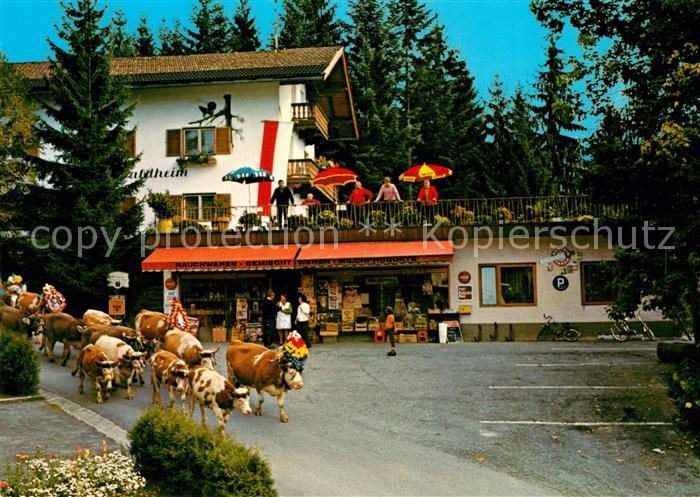 Niederndorf Kufstein Sommerfrische Rettenschoess Viehabtrieb