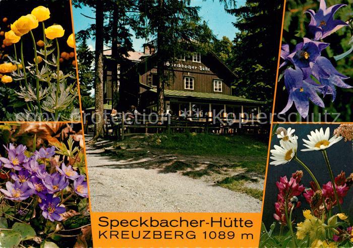Breitenstein Niederoesterreich Speckbacher Huette