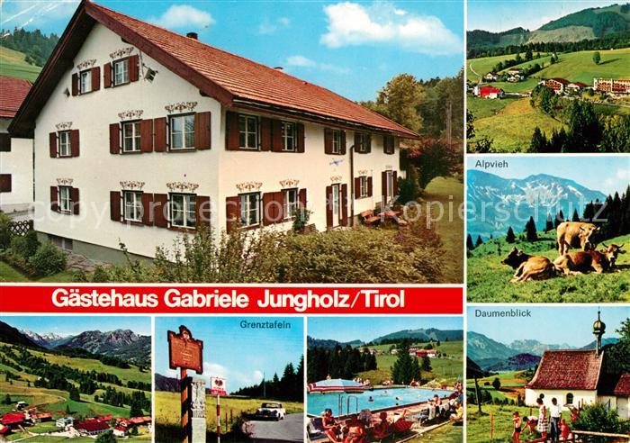 Jungholz Tirol Gaestehaus Gabriele Panorama Alpvieh Grenztafeln Daumenblick