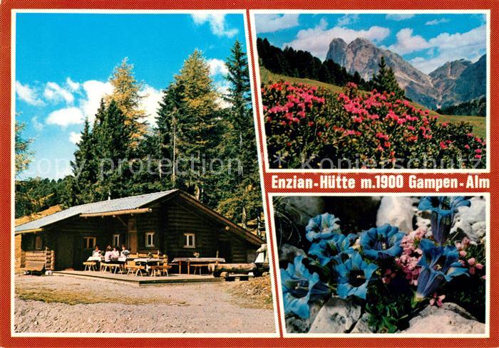Gampenalm Enzian Huette Panorama