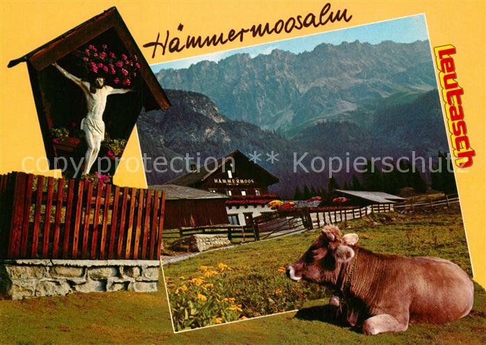 Leutasch Haemmermoosalm im Gaistal