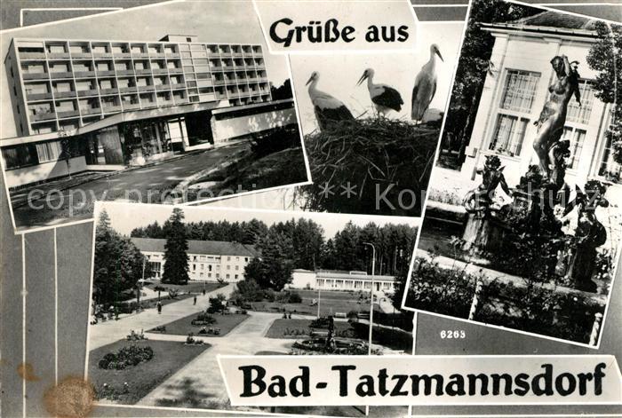 Bad Tatzmannsdorf Burgenland Herz Frauen und Rheumaheilbad Brunnenfiguren