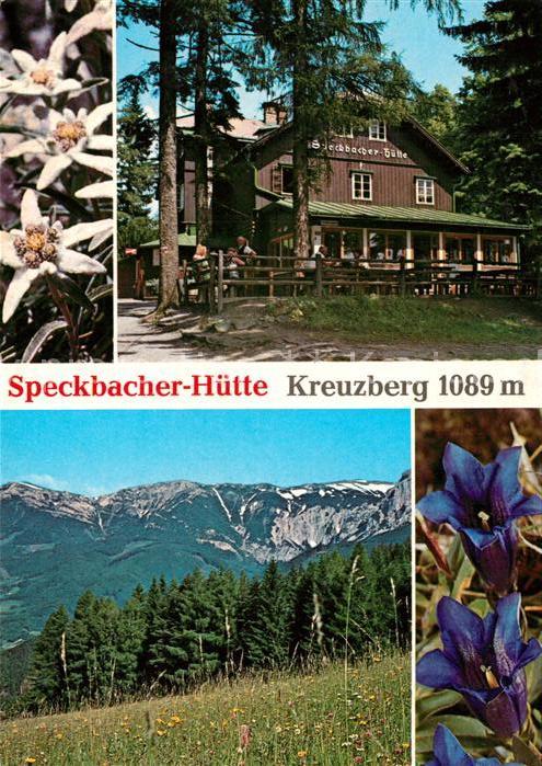 Speckbacherhuette Kreuzberg Panorama Alpenflora